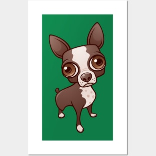 Zippy the Boston Terrier Posters and Art